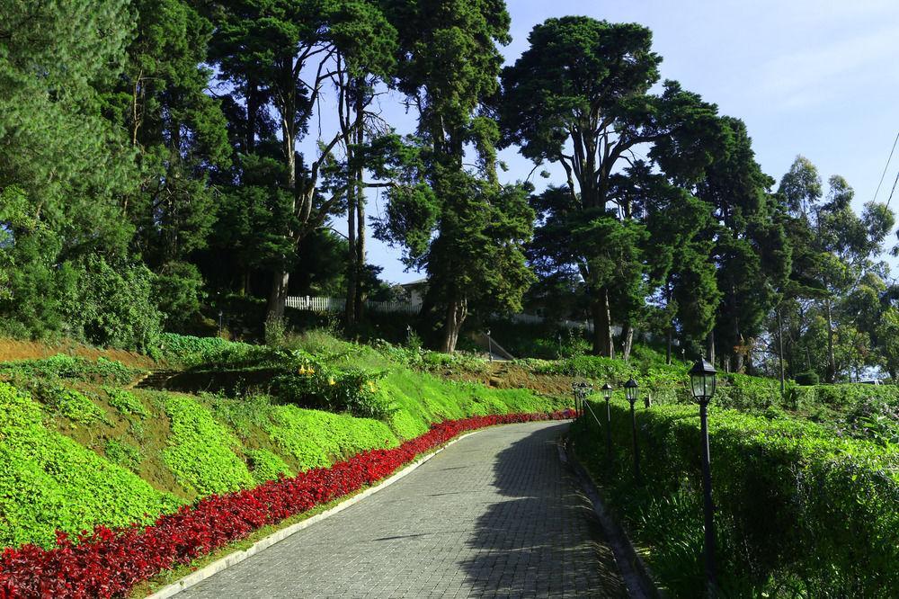 The Firs Villa Nuwara Eliya Buitenkant foto