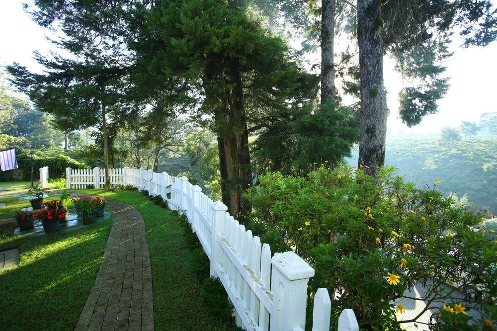 The Firs Villa Nuwara Eliya Buitenkant foto