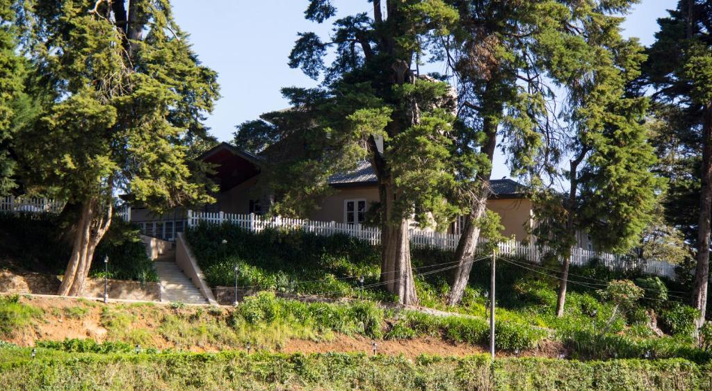 The Firs Villa Nuwara Eliya Buitenkant foto