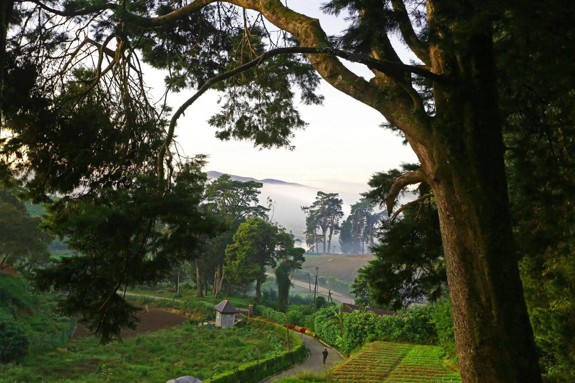 The Firs Villa Nuwara Eliya Buitenkant foto
